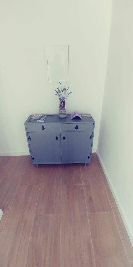 Apartman Ercegovic シベニク エクステリア 写真